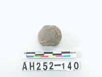 藏品(紅色夾砂陶紡輪)的圖片